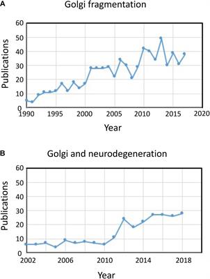 Golgi Dynamics: The Morphology of the Mammalian Golgi Apparatus in Health and Disease